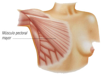 flastic surgery
